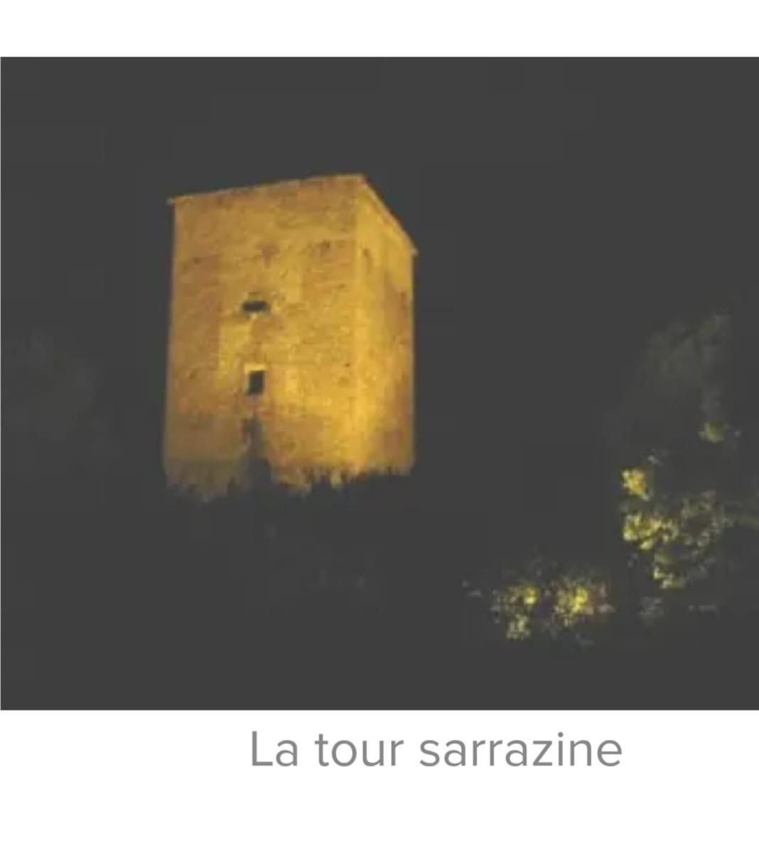 La Jolie Vue Et La Maison De La Tour- Cordes-Sur-Ciel Les Cabannes  Eksteriør bilde